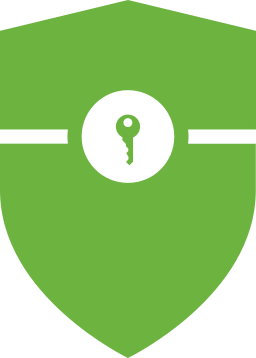 spring security icon